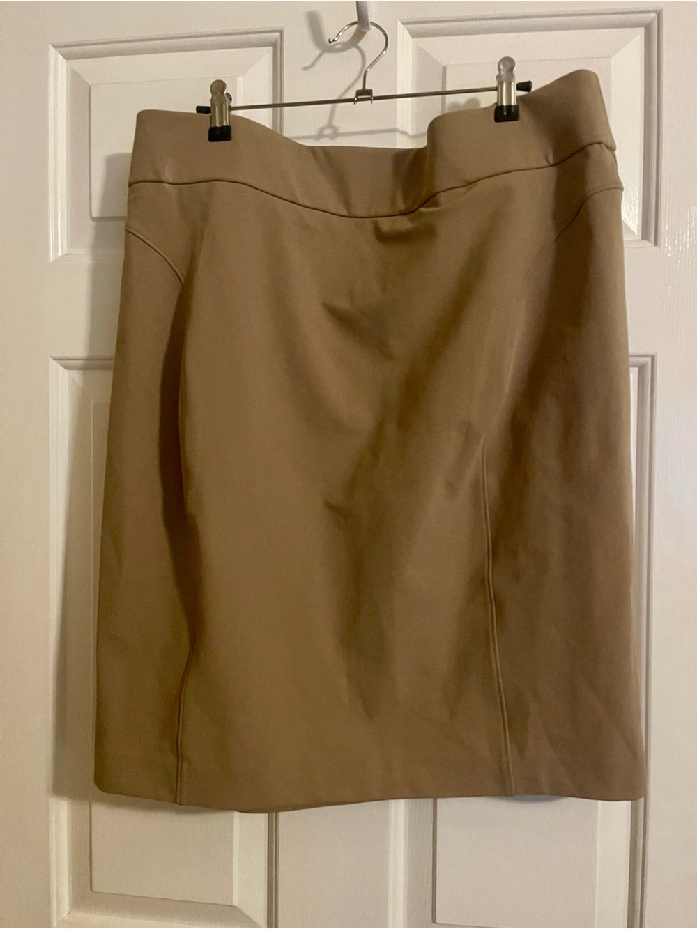 Express Women's Tan Pencil Skirt